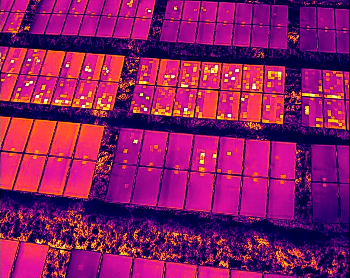 Esempio di risultato fotogrammetrico